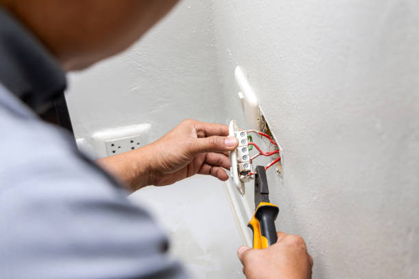 Best Electrician for Home Renovation  in Spring Hill, FL